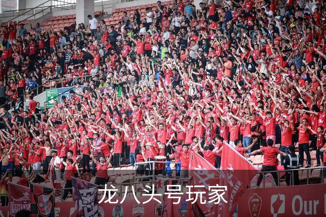 龙八头号玩家公司简介